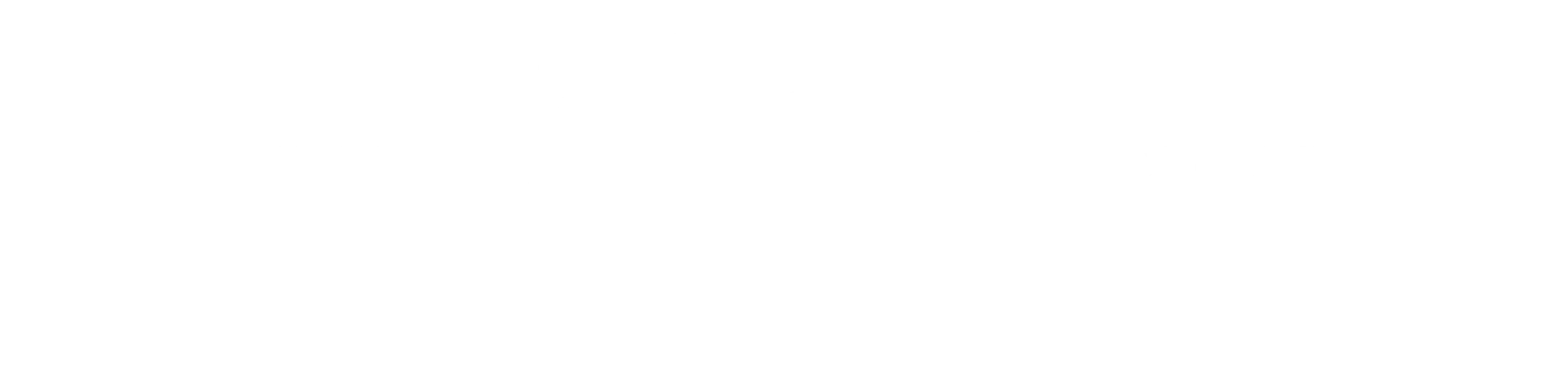 Novioautos logo wit